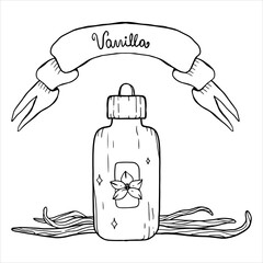 a jar of vanilla extract. doodle vanilla. ribbon and jar sketch