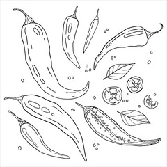 a set of hot peppers. a sketch of the peppers
