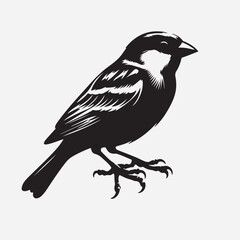 Sparrow silhouette, Birds silhouette, Silhouette images