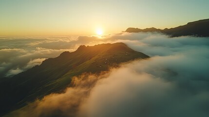 Obraz premium Aerial view of sunrise above clouds and green hills with cows grazing at Fanal mountain, Madeira island, 