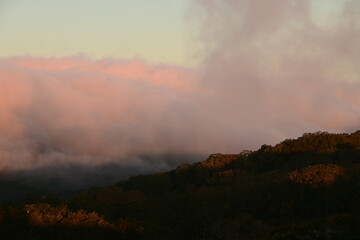 Fototapeta premium fog