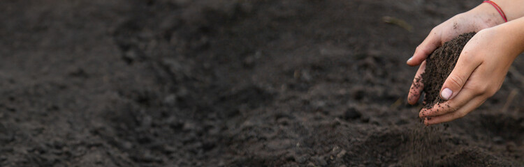 Man holding soil in his hands. Selective focus.