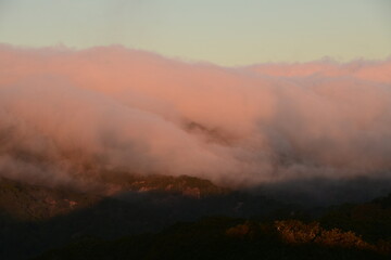 Fototapeta premium misty morning in the mountains
