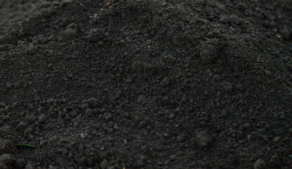 Black soil close-up in nature. Selective focus.