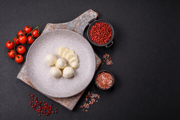 Delicious fresh mozzarella cheese with tomatoes, salt and spices