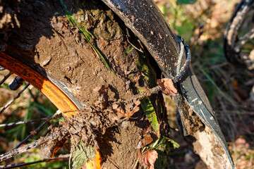 Lots of mud and leaves stuck to the wheel of a fatbike after a ride on a forest off-road