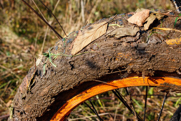 Lots of mud and leaves stuck to the wheel of a fatbike after a ride on a forest off-road