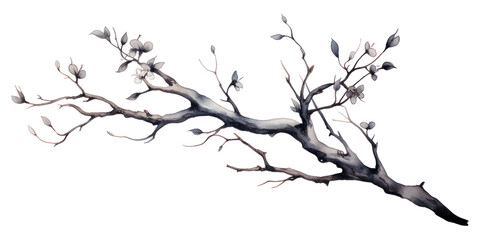 PNG Sketch plant illustrated drawing.