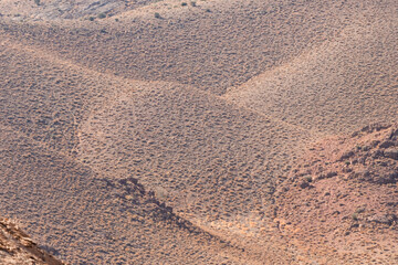 Foothills thinly covered with bushes, shrubs and herbs  near Abarkuh, Yazd, Iran.