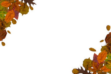 Autumn leaves framed banner on a transparent background with copy space