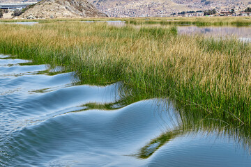 Lost in the magic of Uros Islands. Floating on Lake Titicaca, these islands are a testament to human creativity and resilience. Made entirely of reeds, they’re home to the Uru people.