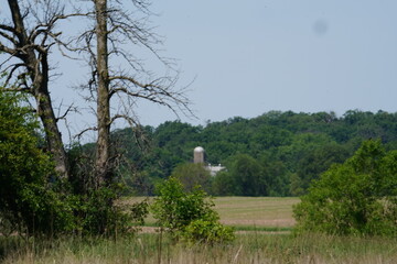 Barn in the Distance