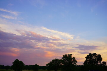 sunset over the forest