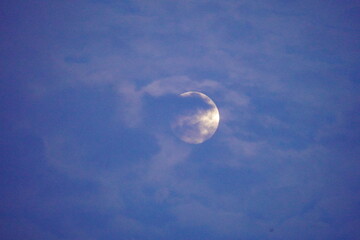 moon in the sky