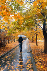 Girl with umbrella walk in rain, nature autumn background. rainy weather, fall season. atmosphere...