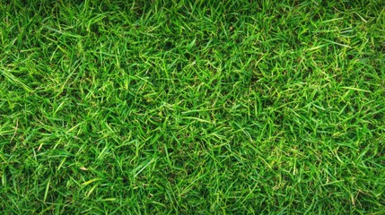 Vibrant green grass texture background, closeup of lush nature for design lush