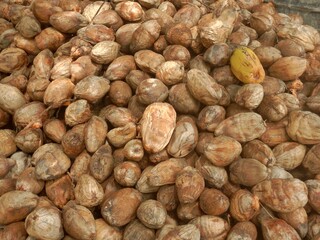 A group of Coconut husk is stored.