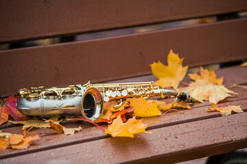 The saxophone lies on a rain-wet park bench among fallen autumn maple leaves.