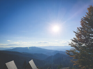 Landscape of mountains and tree during a sunny day in Carpathians Mountains, Romania
