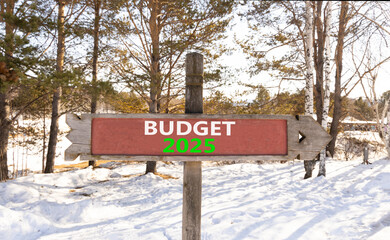 Planning budget 2025 new year symbol. Concept words Budget 2025 on beautiful wooden old retro vintage road sign. Beautiful winter forest background. Business budget 2025 new year concept. Copy space.