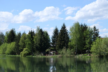 lake in the woods and house