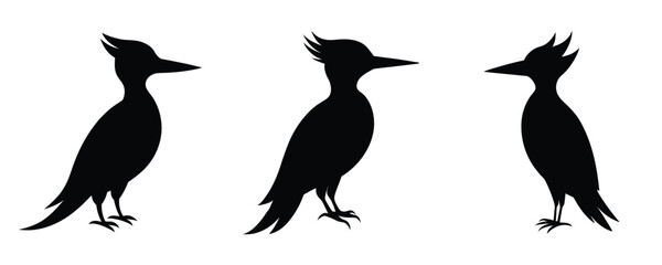 woodpecker silhouette set vector design