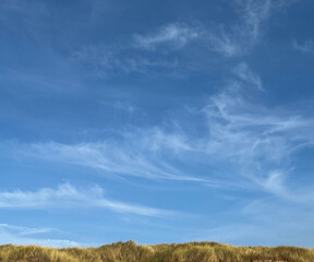 Fototapeta premium wispy clouds in the blue sky