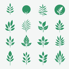 Set of Minimalist  Green Leaves Botanical Organic Logo  Clipart  Design