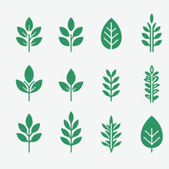 Set of Minimalist  Green Leaves Botanical Organic Logo  Clipart  Design