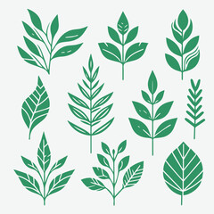 Set of Minimalist  Green Leaves Botanical Organic Logo  Clipart  Design