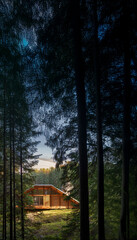 Modern cabin amidst nature.