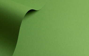 Paper texture background. Premium eco surface with natural grass fibers, matte finish, and smooth layers. Elegant, curved structure with chic, minimalist design. Green color,