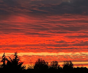 bright orange sunset