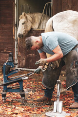 Farrier Hammering a Horseshoe into Place