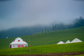 Nalati Grassland, one of the most beautiful grasslands in China for its alpine and valley scenery, Xinyuan County, Ili Kazak autonomous prefecture, Xinjiang Uygur autonomous region, China