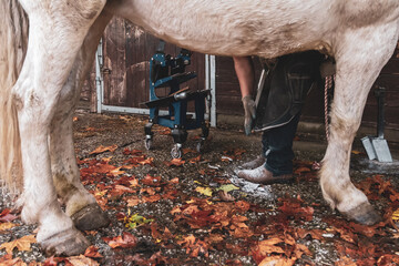 Rural farrier at work, skillfully placing a horseshoe on a horse’s hoof.