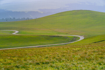 Karajun Grassland, an attractive tourist attraction integrating grasslands, forests, canyons,...