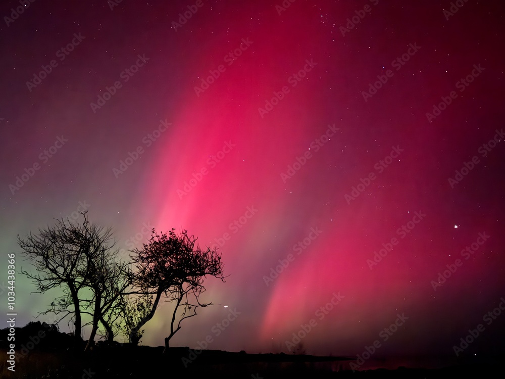 Wall mural aurora borealis on maine coast