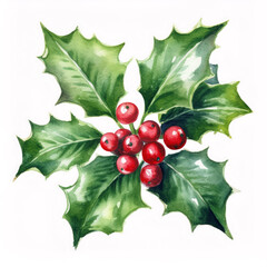 Artistic representation of holly berries painted in watercolor on white background, featuring rich reds and deep greens, perfect for holiday cards and seasonal artwork