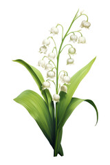 Obraz premium Flower plant amaryllidaceae freshness.