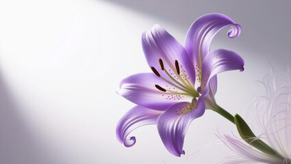 Naklejka premium lily of the valley