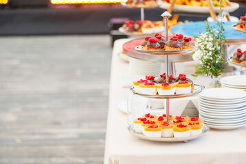 Delicious diversity pastry cakes tartlets in a row. Fresh colourful sweet berry desserts, catering background