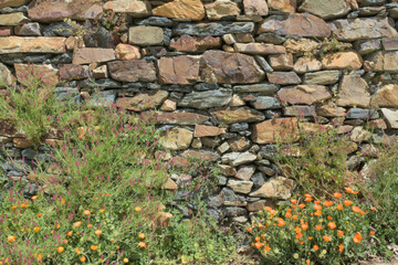 Stone wall and some beautiful bushes