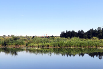 Charming houses lined along a riverbank with lush greenery under clear blue sky and gentle ripples on water