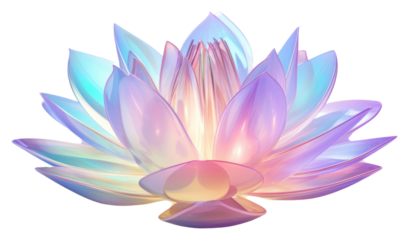PNG Lotus flower iridescent petal plant inflorescence.