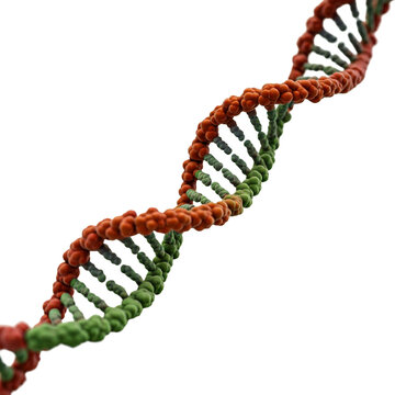 3d render of DNA, Concept of biochemistry with dna molecule isolated in white background,