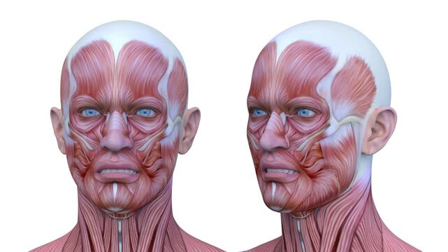男性の顔アップ　3DCGレンダリング