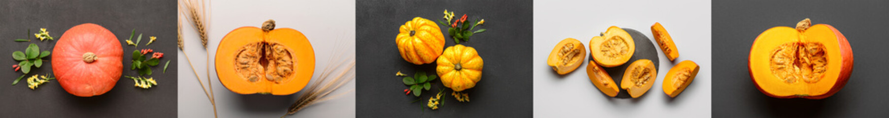 Collage with many pumpkins on color background, top view
