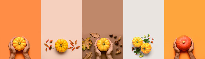 Collage with many pumpkins on color background, top view