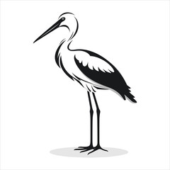 Fototapeta premium white stork ciconia